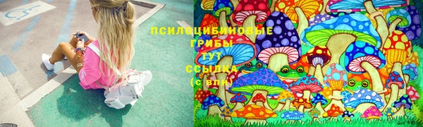 Альфа ПВП Михайловка