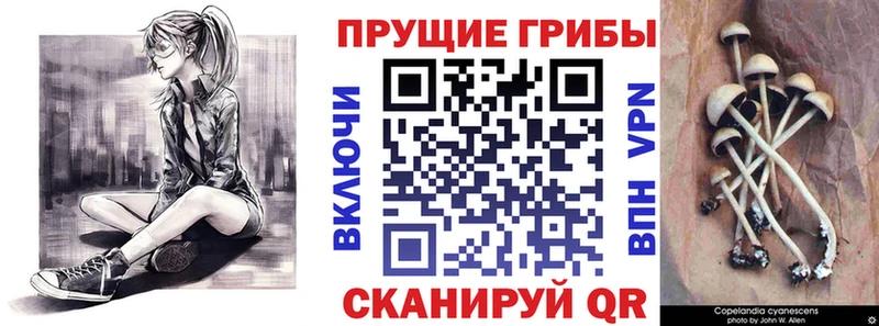 Галлюциногенные грибы мицелий  хочу   Заозёрный 