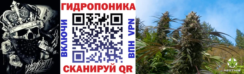 Каннабис план  где найти наркотики  Заозёрный 